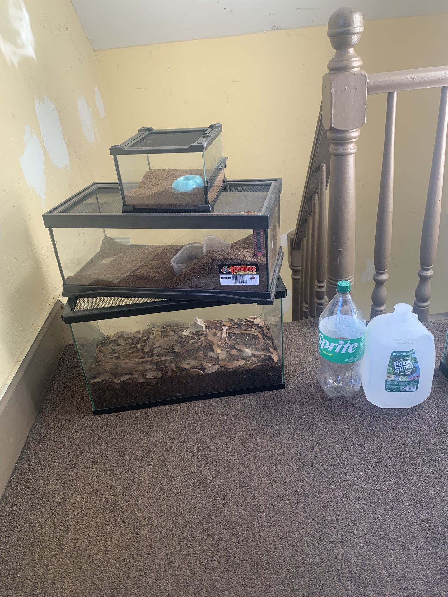 Terrariums / Aquariums, And Supplies