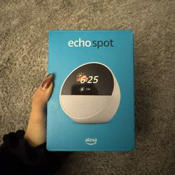 Echo Spot 