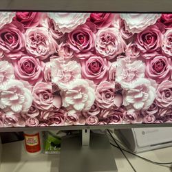 HP 24H Monitor With Cable