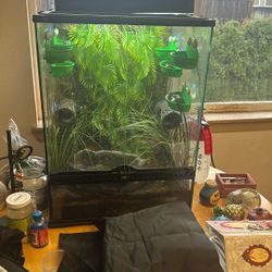 Exoterra Bioactive Frog Tank 