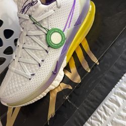 Nike LeBron XV11 (Lakers) Nike Zoom Kiger 7