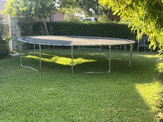 Trampoline