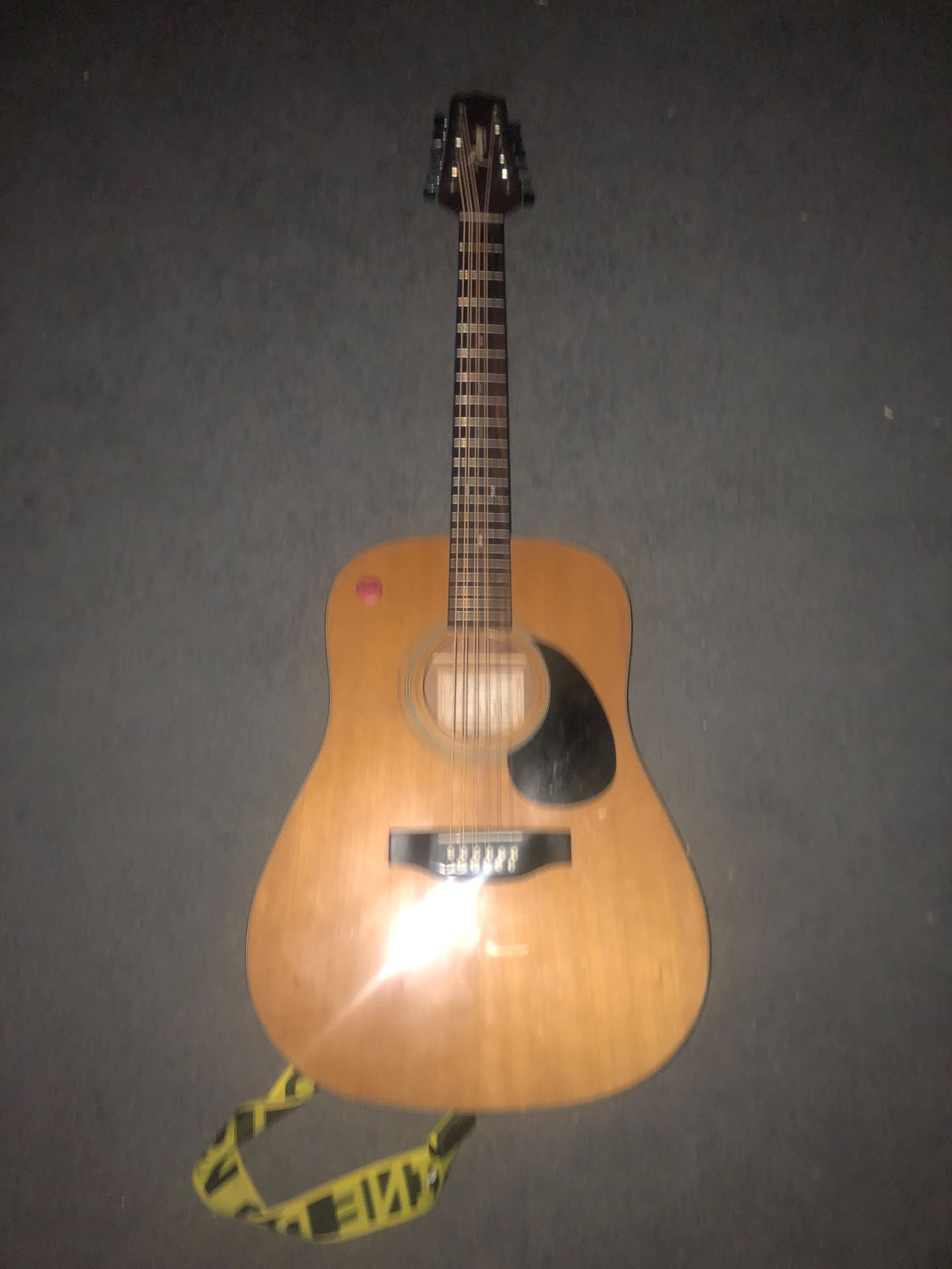 Takamine 12 string G335 and Mitchell D120