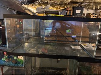 40 gallon, breeder, reptile tank and folding screen top