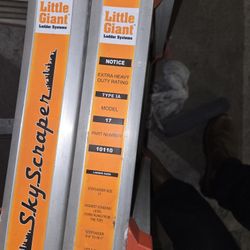 Little Giant Ladder 