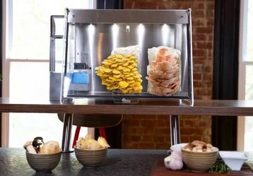 MELLA MUSHROOM FRUITING CHAMBER