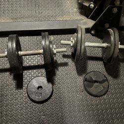 Adjustable Dumbbells