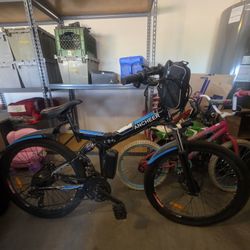 Electric Bike
