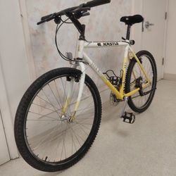90s Kastle Tour Mantagne Pro MTB/Commuter - 20"