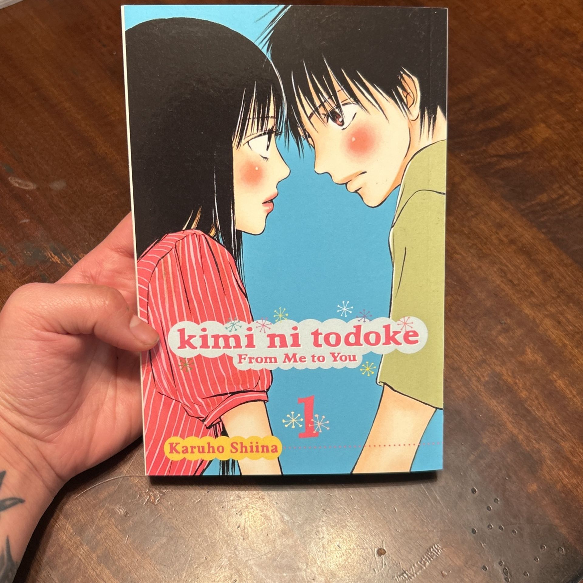 Kimi Ni Todoke Book 1