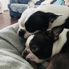 BellaSunny