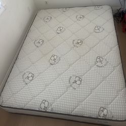 Queen Mattress 