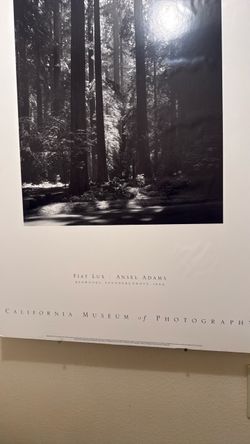 FIAT LUX : ANSEL ADAMS
