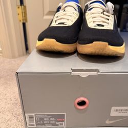 LeBron XX UN New Size 13  $150.00