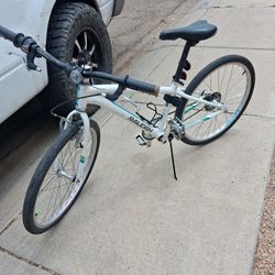 Raleigh Bike