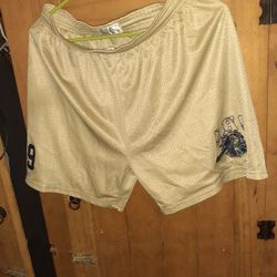 Alexander High Practice Shorts Softball 