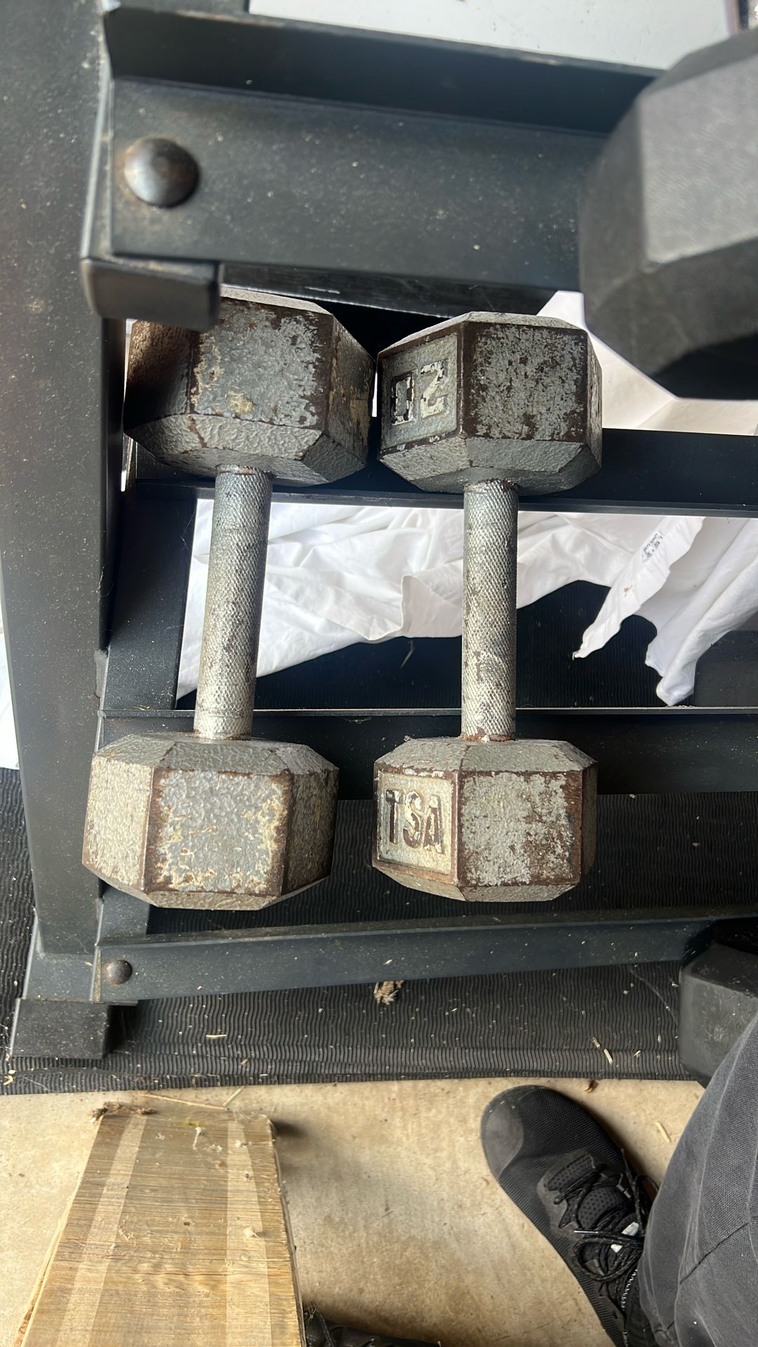 20 Lb Dumbbells - Pair