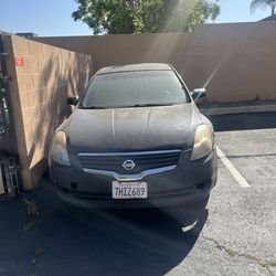 2010 Nissan Altima