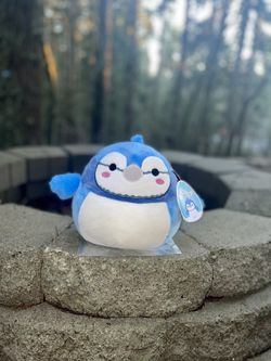 Babs Bluejay Squishmallow 8”