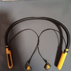 Dewalt Earphones