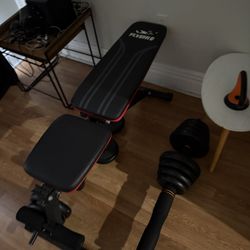 Weights/Bench