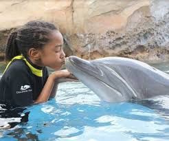 X11 SEAWORLD Single Day