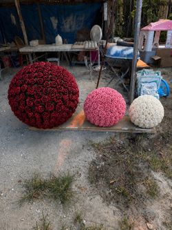 Garden rose spheres