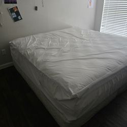 King Matress Bed 