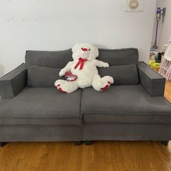 Sofa-Seats 2+/Likely New
