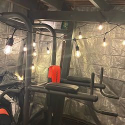 Dip, pull-up and push-up machine