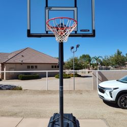 Lifetime Basketball Hoop