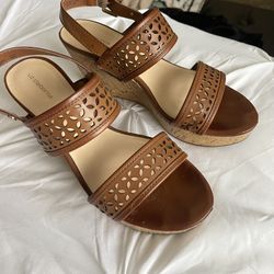 Heels Shoes 