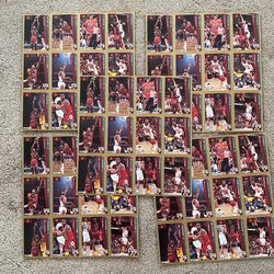 Chicago Bulls