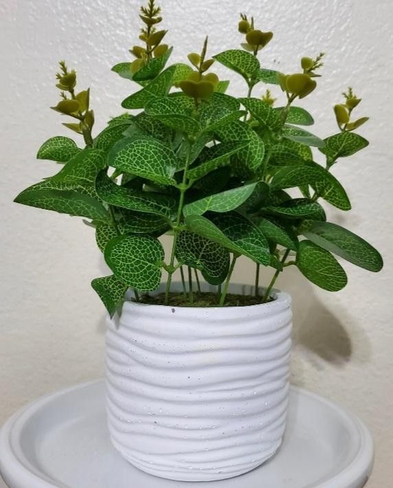 A Pretty Artificial Plant In A White Cement Pot