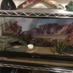 25 Gallon Reptile Tank and Accessories
