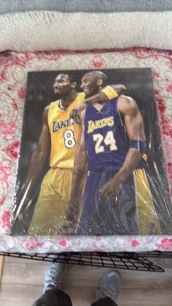 Mamba 24 & 8