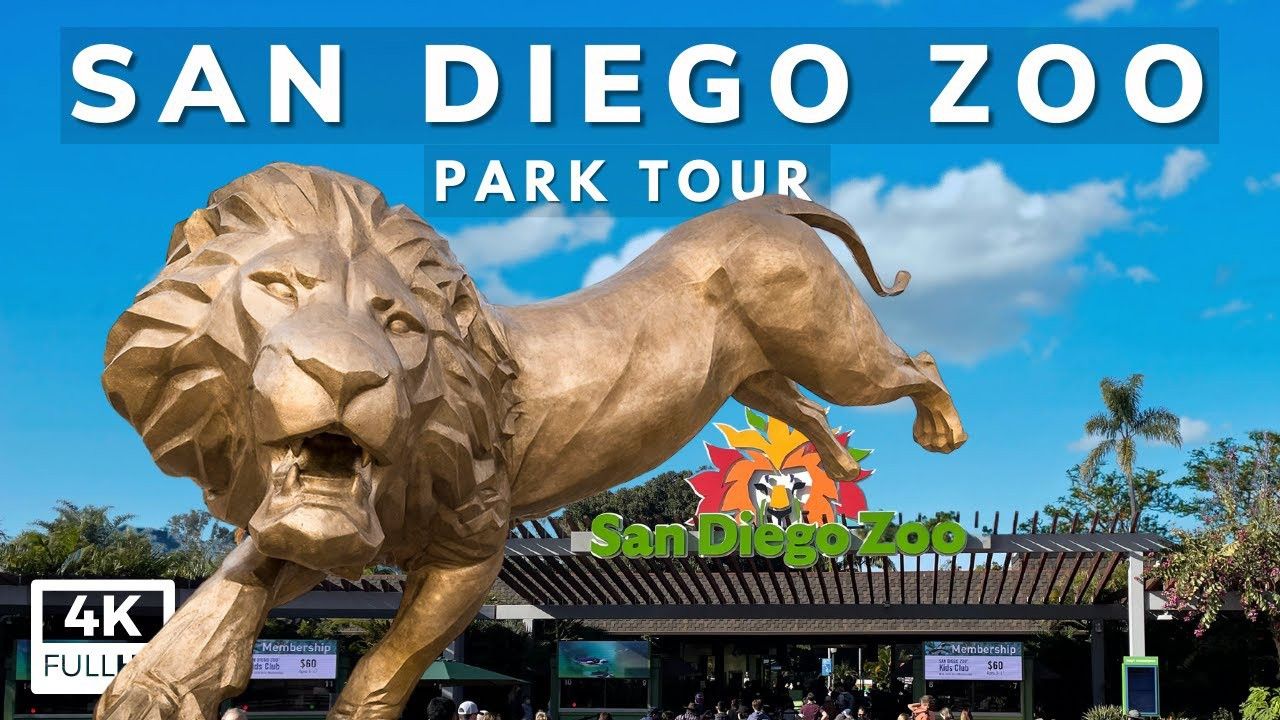 SAN DIEGO ZOO 4 TICKETS IVAILABLE πΌπ΅π¦