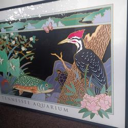 Tennessee Aquarium Framed Wall Print