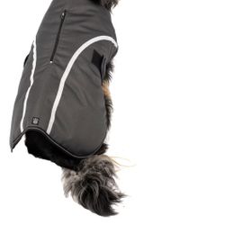 Brand New Dog Coat