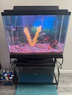 Fish Tank Aquarium Set with Stand