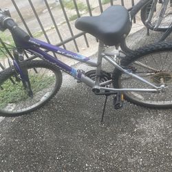 Roadmaster 24 Inch 