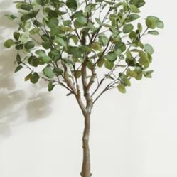 Brand New 59” Tall Eucalyptus Fake Tree