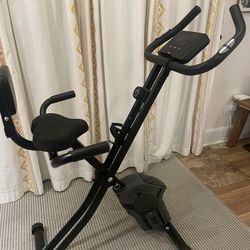 Crane Adjustable Exercise Bike 