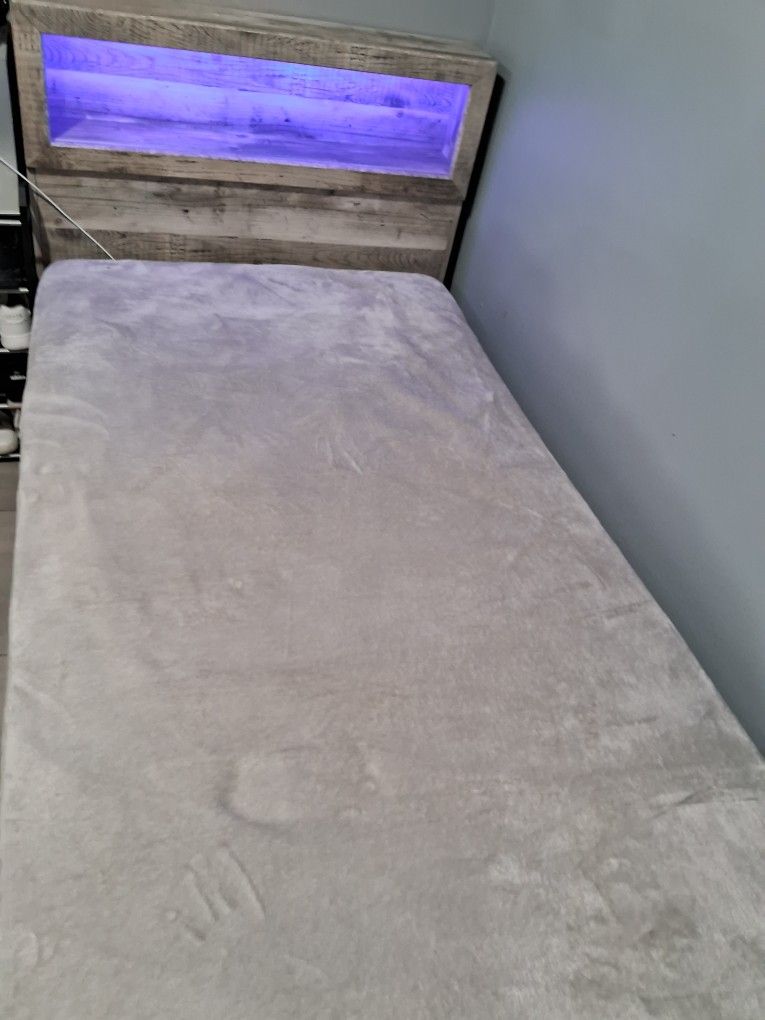 Se Compro Nueva