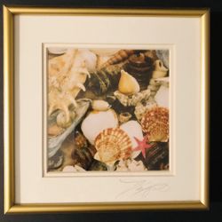 Art by Maxfield Originals  Sea Shells #1 Framed & Signed Art  