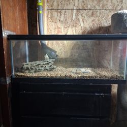 20 Gallon Reptile Tank