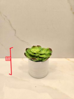 Artificial Succulent in White Ceramic Pot