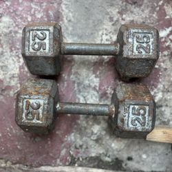 Set Of 25Lb Dumbbells [50Lbs Total]