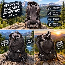 Gregory Baltoro 75 Backpack - Men's Technical Hiking Trekking Pack Gray