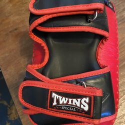 Twins Special Kick Pads (pair)